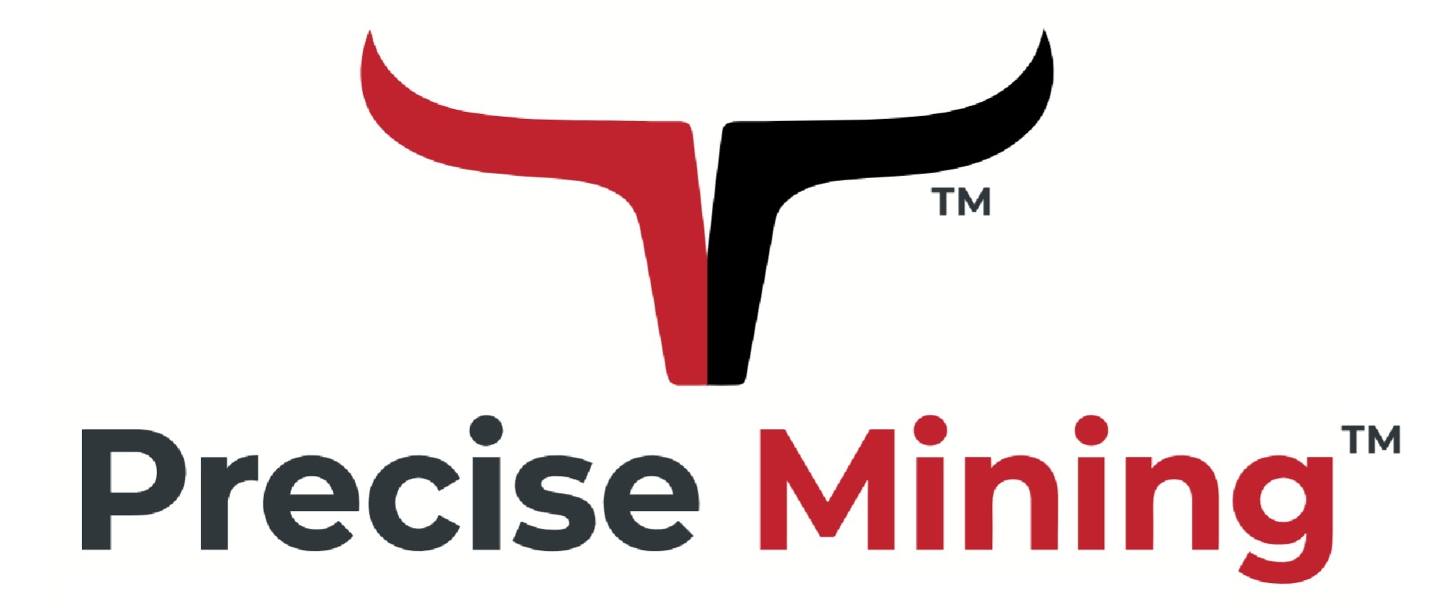 Precise Mining